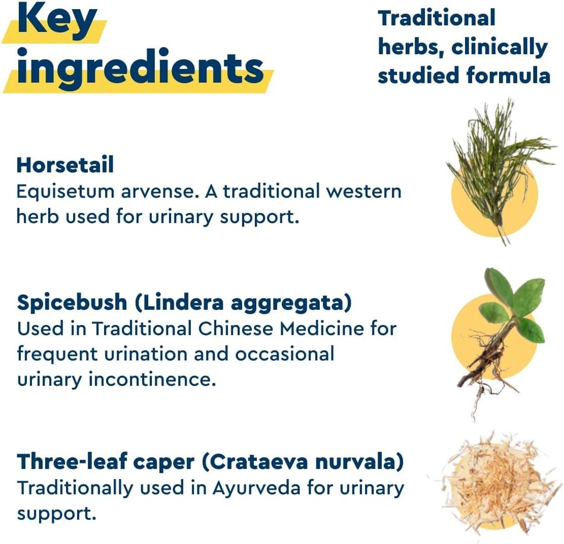 Uqora in Control Bladder Support - Daily Bladder Care & Support for Urinary Comfort - Made with botanicals, Like Horsetail & Spicebush - Gluten-Free & Vegetarian - 120 Capsules (2 Pack)