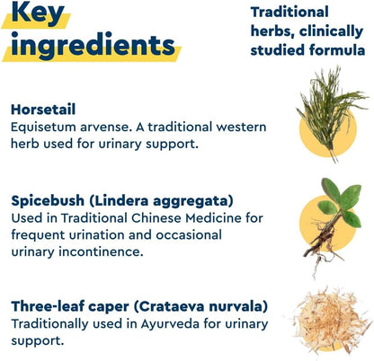 Uqora in Control Bladder Support - Daily Bladder Care & Support for Urinary Comfort - Made with botanicals, Like Horsetail & Spicebush - Gluten-Free & Vegetarian - 120 Capsules (2 Pack)
